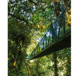 מגזין האולר-הרפתקאות משולבות-סלבטורה-פארק-גשר תלוי-ג'ונגל-קוסטה-ריקה