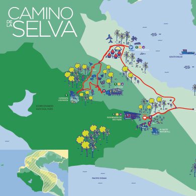 Ecotourism-is-Costa-Rica-Camino-de-la-selva-map-Osa-Peninsula