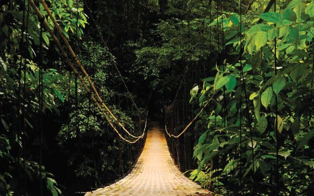 Hängebrücke-Osa-Halbinsel-Ökotourismus-in-Costa-Rica