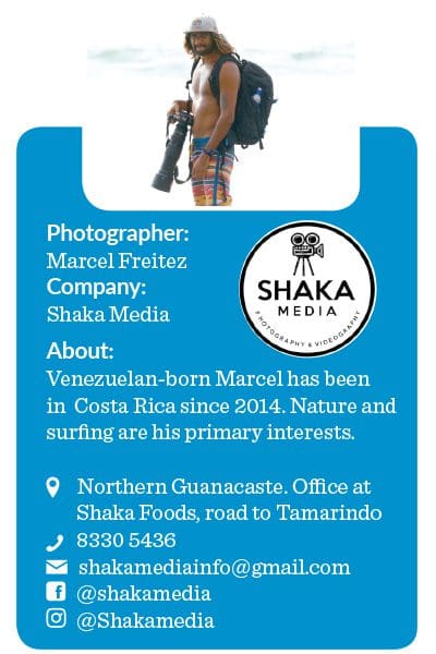 Marcel-Freitez-Photographe-bio-Shaka-Media