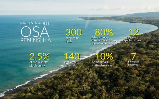 Osa-Peninsula-facts-Ecotourism-in-Costa-Rica Caminos de Osa