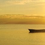 Sonnenuntergang-Osa-Halbinsel-Caminos-de-Osa-ruhiges-Wasser-Boot Ökotourismus