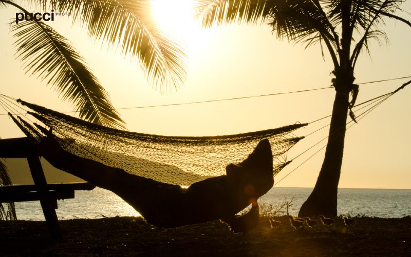 Costa-Rica-Happiest-country-beach-hammock-Pucci-Howler