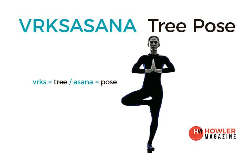 How to Do Tree Pose (Vrksasana) in Yoga for Better Balance