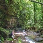 la-cangreja-national-park-costa-rica