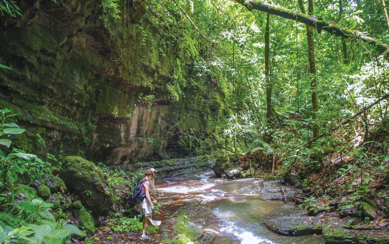 la-cangreja-national-park-costa-rica