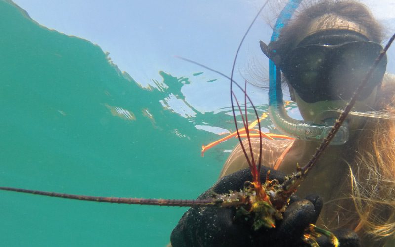 snorkeling-costa-rica