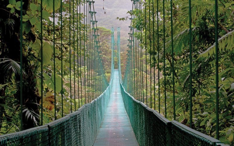 cosas que hacer en costa rica los puentes colgantes en monteverde