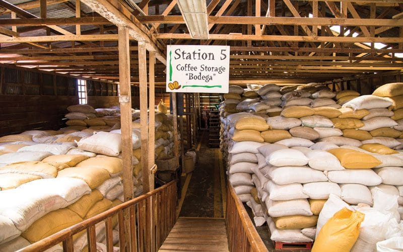 vous devez essayer le café biologique local cultivé dans la région de Monteverde au costa rica