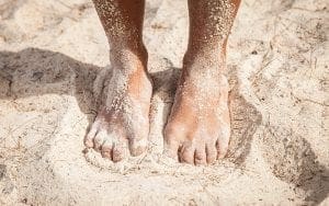 seis maneiras de prevenir as pulgas da areia na praia