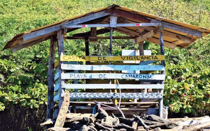 découvrez les spots de surf au costa rica