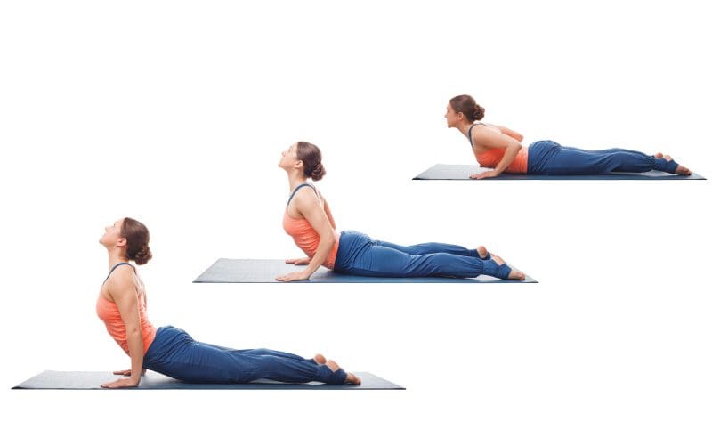 https://b2255521.smushcdn.com/2255521/wp-content/uploads/2019/02/cobra-pose-yoga.jpg?lossy=2&strip=1&webp=1