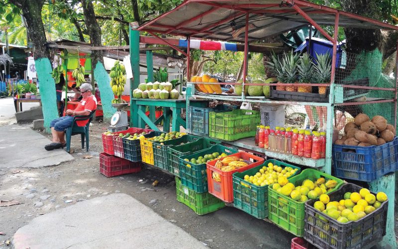 Puesto de frutas y verduras típicas de Costa Rica