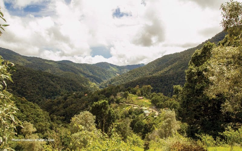 rivière savegre costa rica