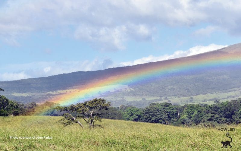 Regenbogen in Bijagua Ranas Costa Rica