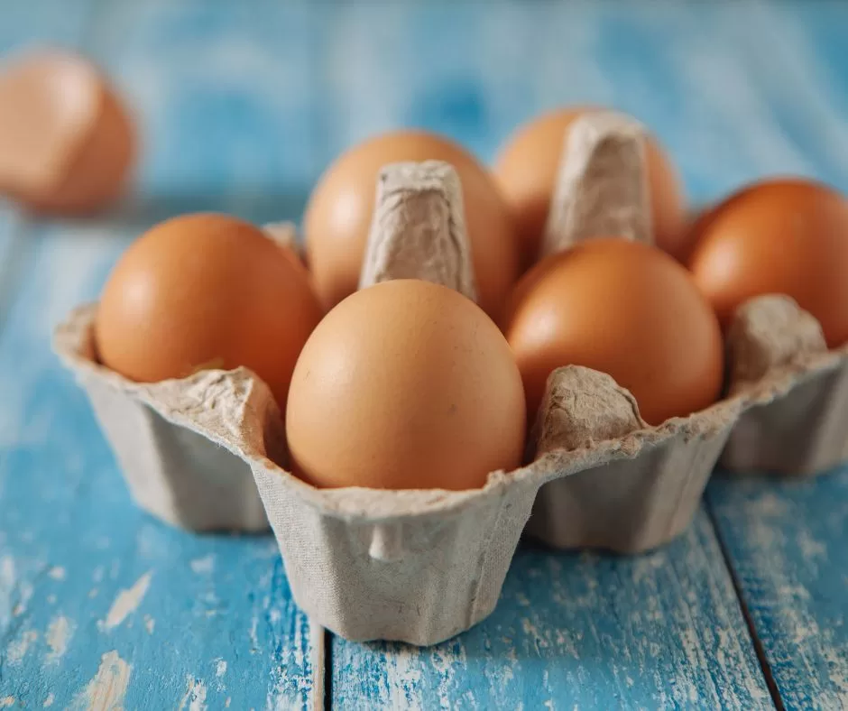 Egg in Carton