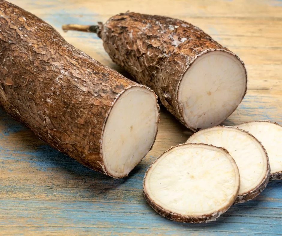 Yuca