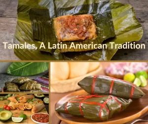 Viele Arten von Tamales