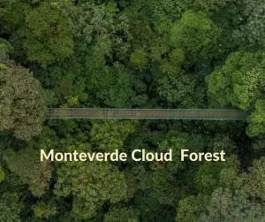 Floresta Nublada de Monteverde