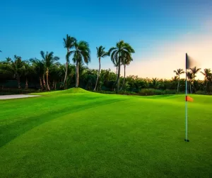 Golf tropical